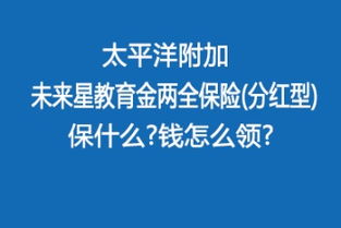 数字化新浪潮下的专业保障 沃保保险网与韵沃网络服务的寿险革新