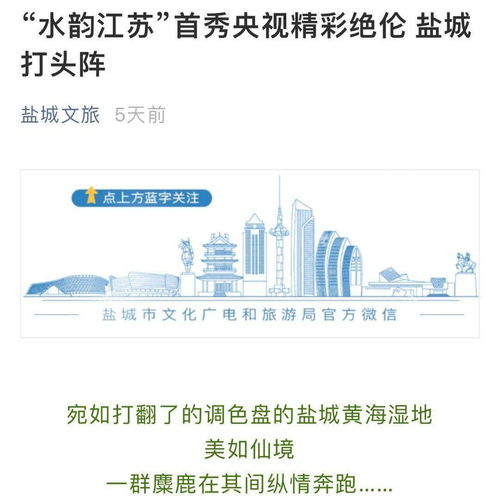 水韵江苏宣传片引爆全网，江苏文旅品牌建设迎来新篇章