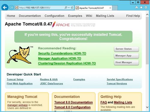 安装VMware虚拟机保姆级教程 从网络配置到Windows Server部署及宿主机访问全指南